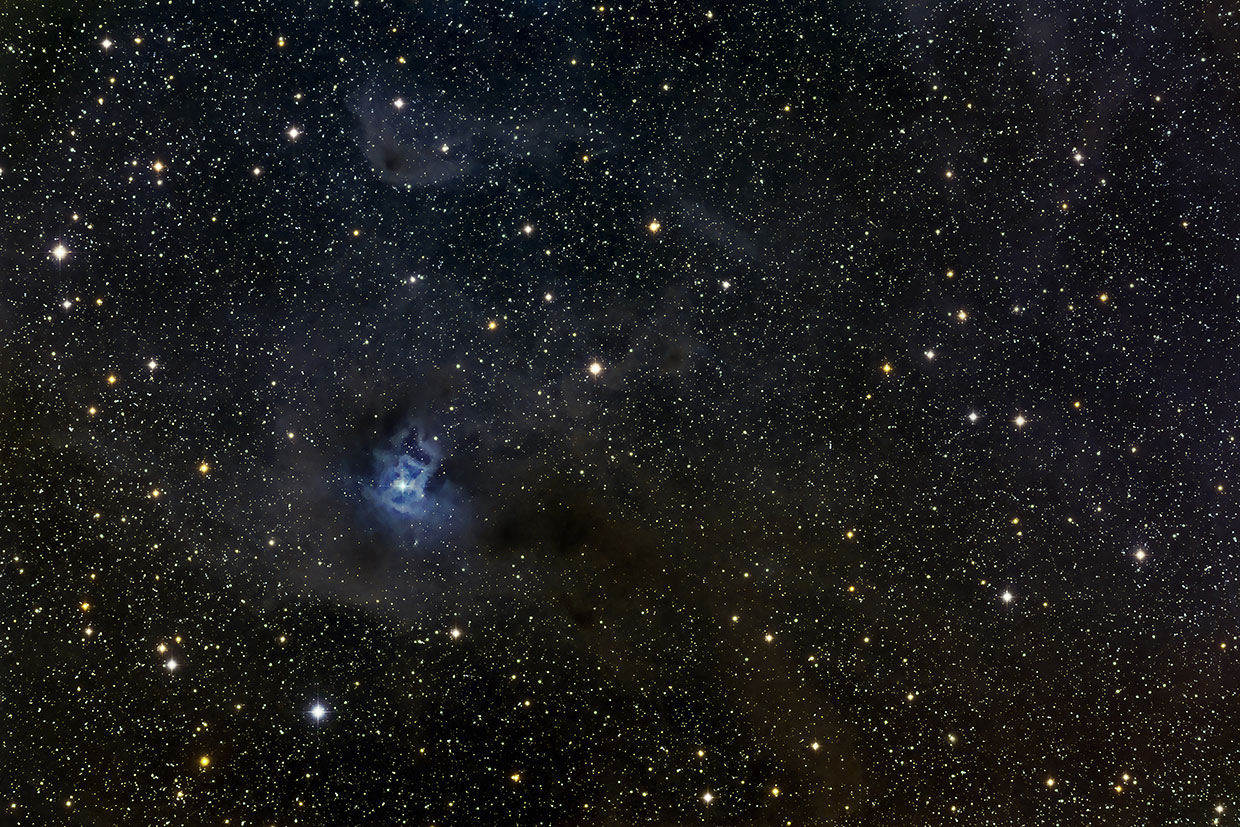 Íris-þokan - Iris nebula (NGC 7023).