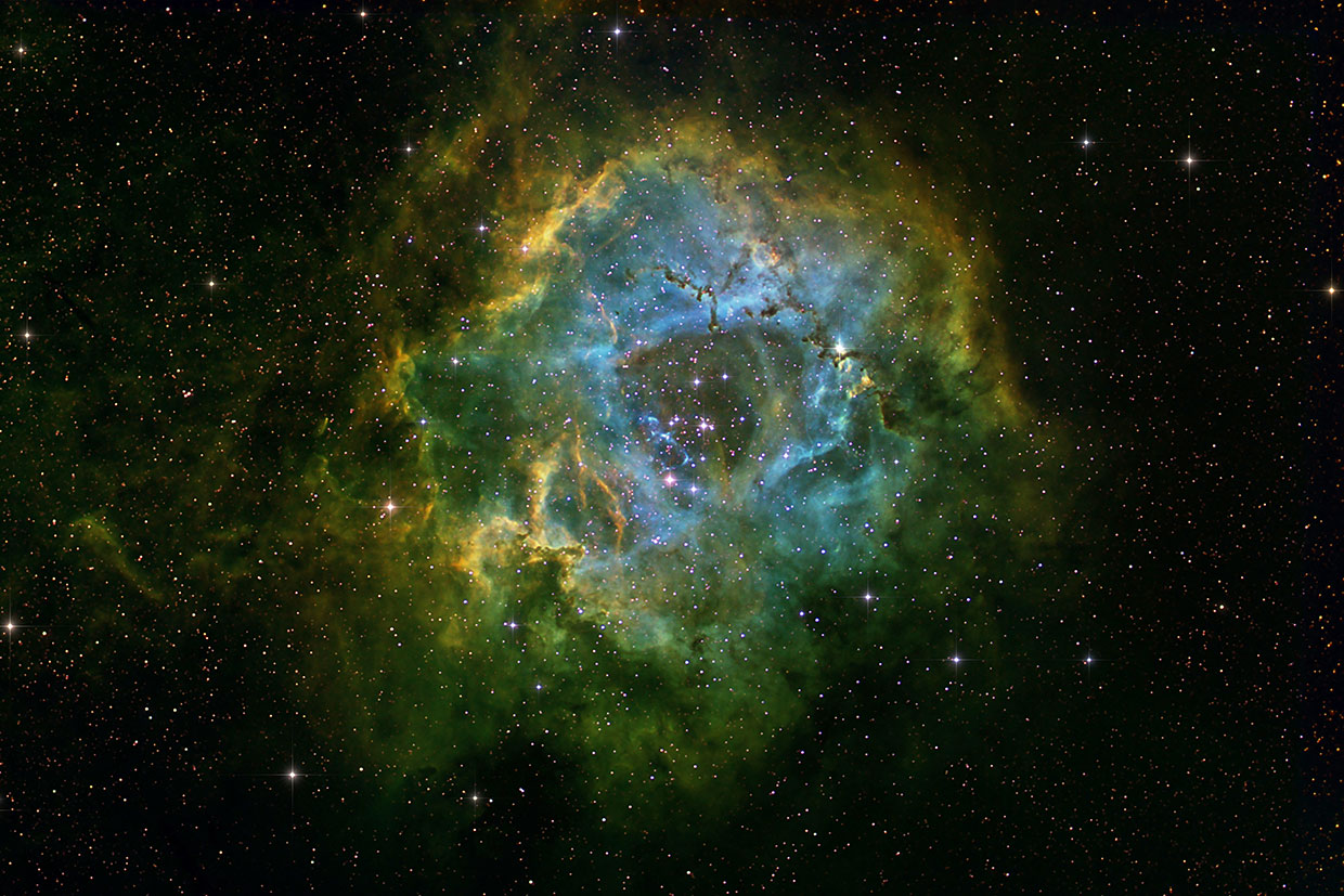 Rósettuþokan - Rosette nebula (NGC 2237-2244).