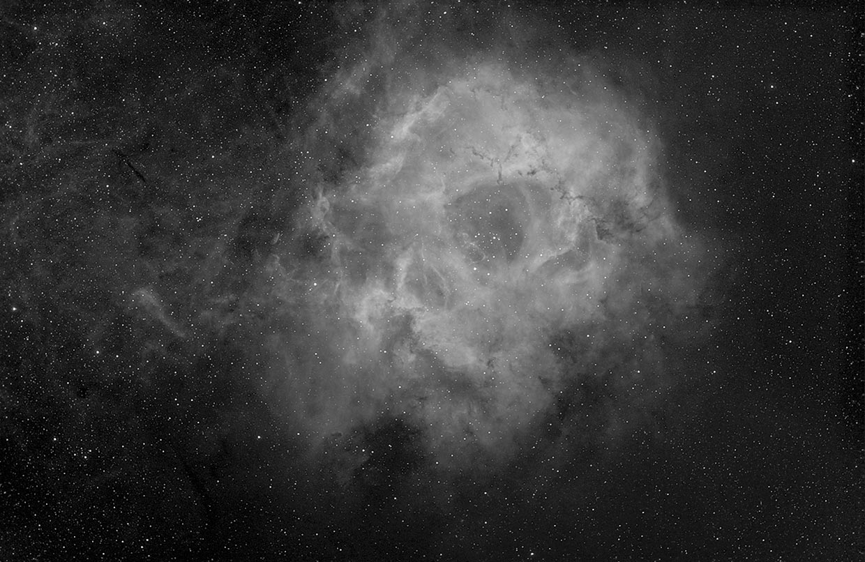 Rósettuþokan - Rosette nebula (NGC 2237-2244).