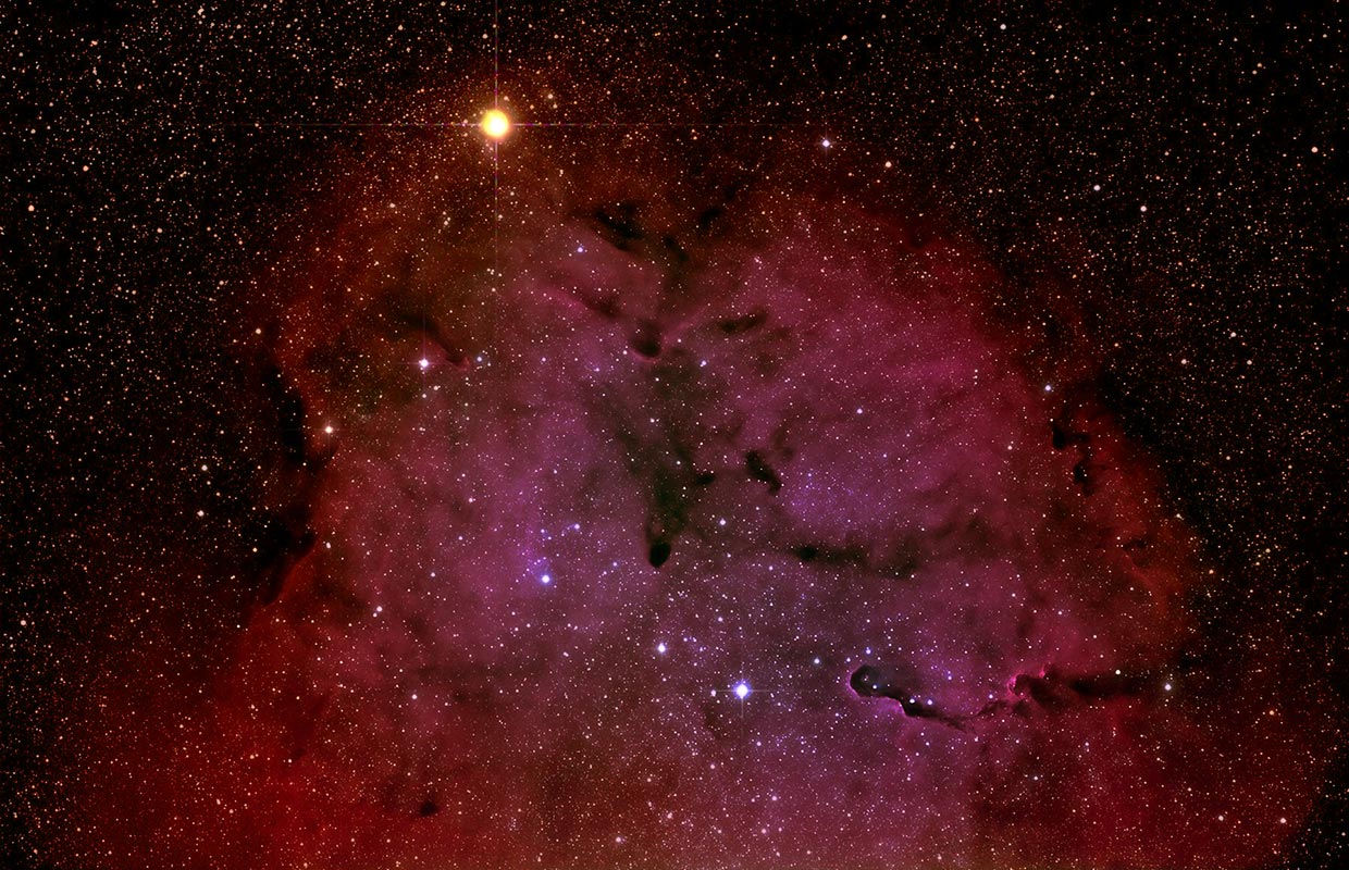Granatstjarnan (Mu Cephei), IC 1396 og Fílsraninn - Herschel's Garnet Star, IC 1396 and the Elephant's trunk